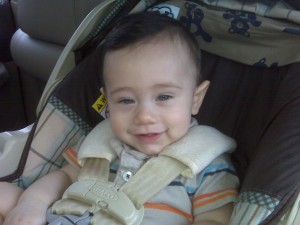 Shaunsito 
